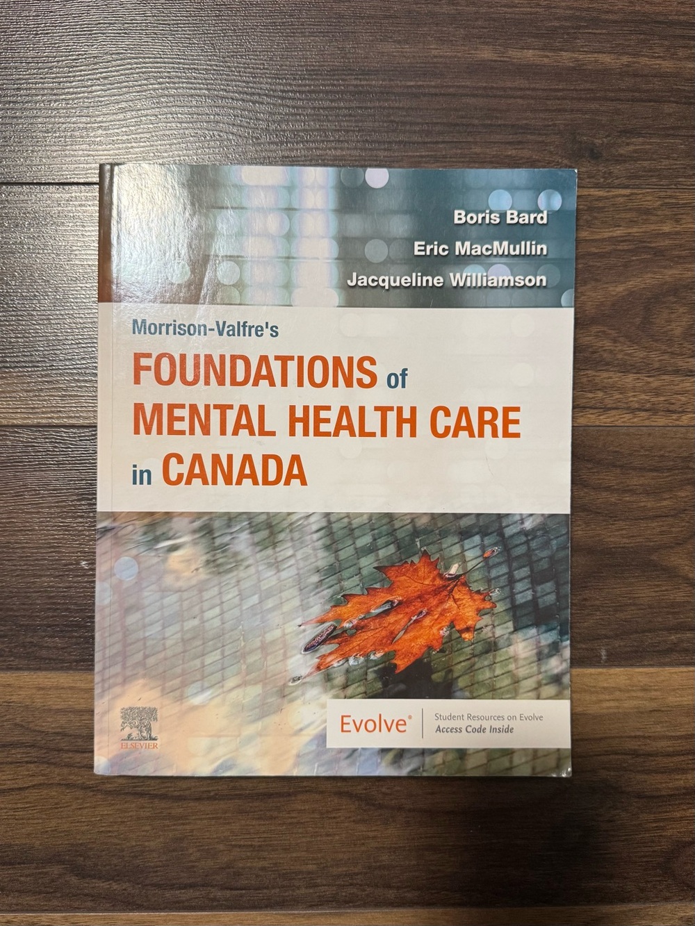 Foundations of mental health in Canada